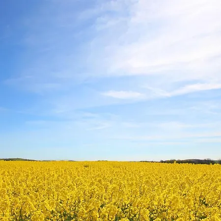 Haus Blick Zur See Ferienwohnung 05 - Mit Sauna- Und Schwimmbadnutzung Im Ahoi Sellin *